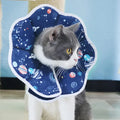Wholesale Stocked Folding Cat Reina Elizabeth Collar
