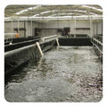 Plastic Geomembrane Indoor Fish Ponds Farm Tank UV Resistant 500 Micron Pond Liner ZHIHUI 8x8m 160gsm Waterproof PE Sheet