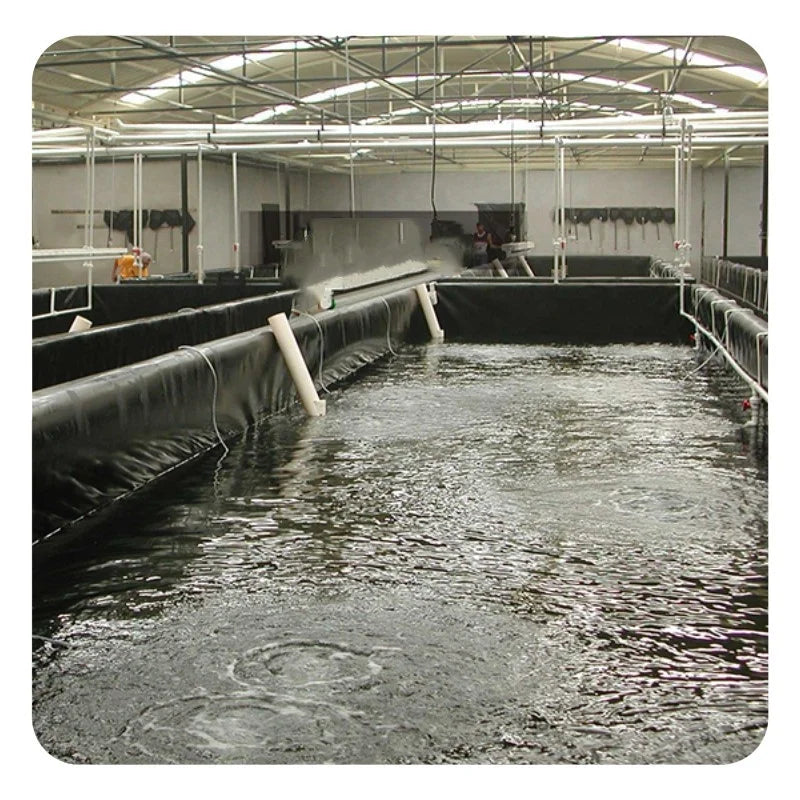 Plastic Geomembrane Indoor Fish Ponds Farm Tank UV Resistant 500 Micron Pond Liner ZHIHUI 8x8m 160gsm Waterproof PE Sheet