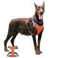 Hot Selling Pet Adjustable Dog Vest Reflective Chest Strap Polyester Oxford Puppy Harness Leash Vest Big Dog Walking Traction