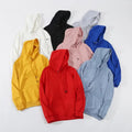 580gsm Top Quality Heavyweight Puff Print Hoodies Men's Tracksuits 100% Cotton Sweatshirt Custom Streetwear Hoodie