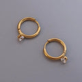 Dropshipping 18k Gold Plated Stainless Steel Diamond Small Hoop Designer Earrings Popular Brands