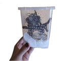 8.5x8.5x11cm Flip Top Snake Spider Turtle Plastic Horned Frog Guarding Palace Lizard Insect Reptile Terrarium Cage
