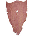 Eco-Friendly Fish Leather Material for Belts Shoes Handbags & Luggage-Grain Finished Pattern Durable