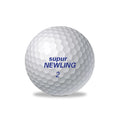 Two Layers Custom Logo Tournament Golf Balls Premium Blank 2-Piece Golf Ball Super Long Distance