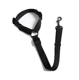 Durable Adjustable Nylon Car and Running Rope Release Pet Dog Training Leash