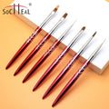 Private Label Custom Gradients Red Metal Handle Nail Brush Nail Art Painting Pen Nylon Hair UV Gel Brush Acrylic Nail Brush Set