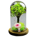 Wholesale Led Light Artificial Flower Arrangements Forever Rose Flower Preserved With Glass Mother'S Day Gift