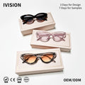 2023 Luxury Women's Cat Sunglasses Gradient Color Fashion Sunglasses Hundred Models Outdoor Sports Travel Glasses