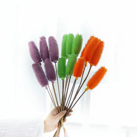 Elegant Luxury Dried Wood Flowers Dipsacus Sativus for Home Interior Design Premium Decorative Plants