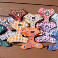 Lovecolour Custom Design 6pcs Soft No Pull Pet Vest Neoprene Reversible Dog Bowtie Bandana Collar Leash Harness Set