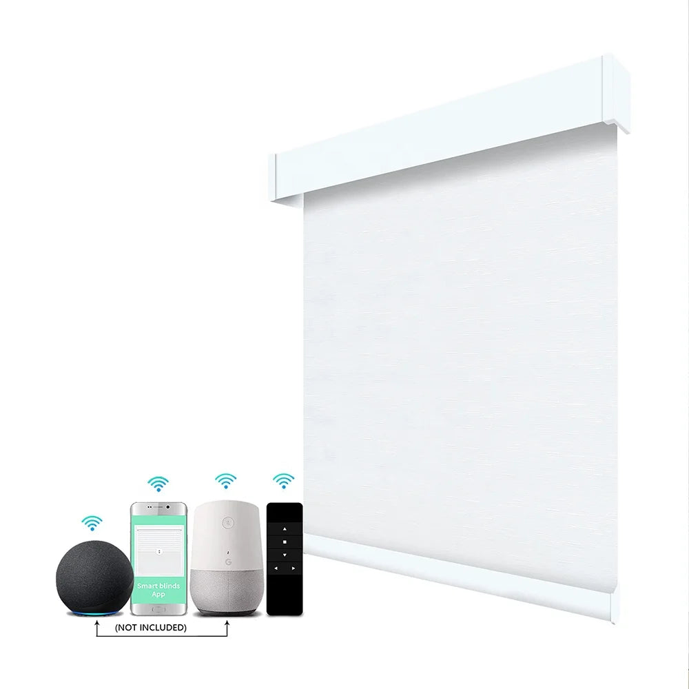 100% Blackout Indoor Day Night Custom Size Smart Home Motorized Dual Window Automatic Electric Roller Blinds for Window