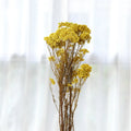 SZ04128 Super Quality Dried Flowers Wedding Decor Flower Natural Dries .Preserved Millet Fruit for DIY Home Shop Decoration