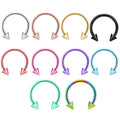 Septum Nose Rings 16g Septum Rings for Women Septum Piercing Jewelry Horseshoe Nose Hoop Rings Lip Tragus Cartilage Earrings St