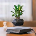 HCNT Hot Sell Electric Magnetic Levitating Bonsai Modern Design ABS Material CE Certified 3 Colors Choose Home Decoration