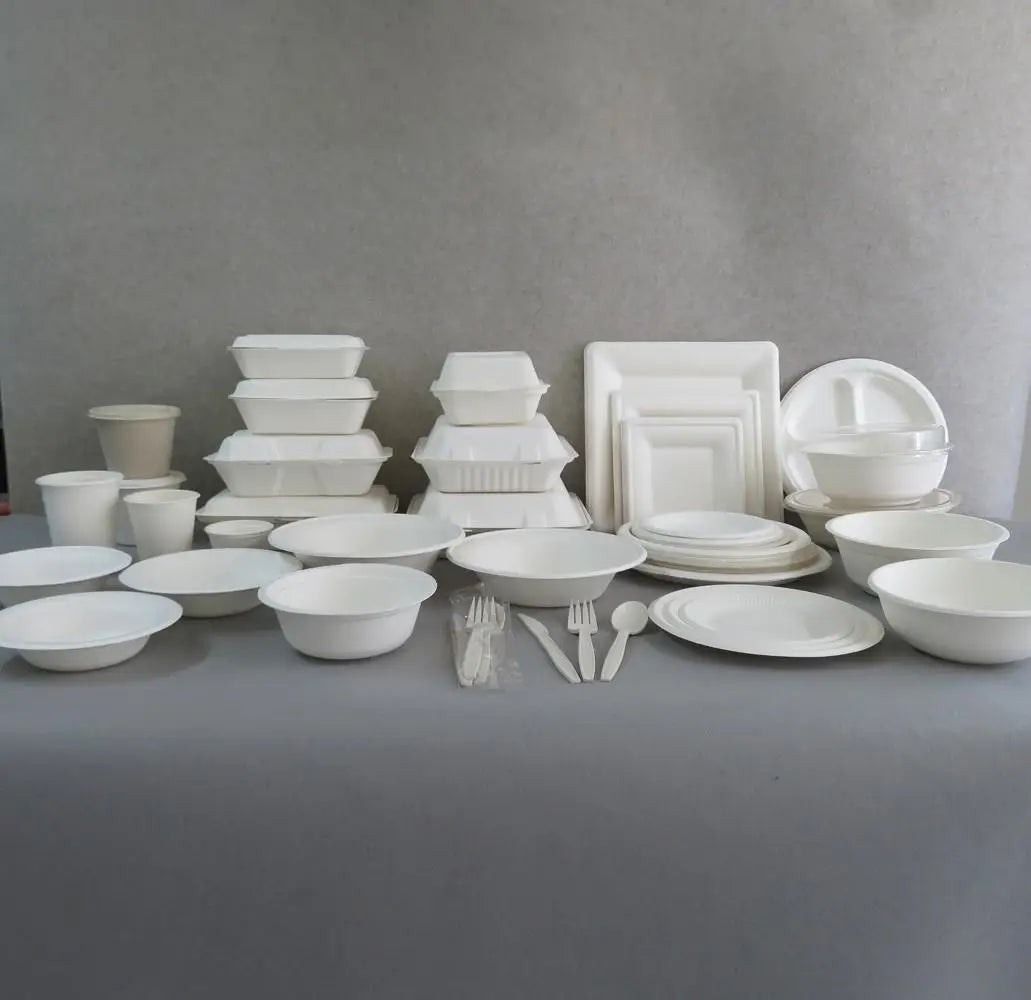 Disposable Biodegradable Compostable Sugarcane Food Containers Eco-Friendly Takeaway Clamshell Salad Bowls Plates Cutlery Set