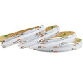 High Density Rgbcct Cob Led Strip DC24v 12mm 840led/m IP 20 65 67 68 Waterproof Led Strip Light
