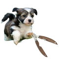 Effortless Pet Nail Grooming with Luxury Dog Nail Clipper Stainless Steel Wood Material a Guide Choosing Best Pet Nail Clipper