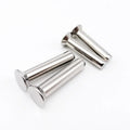Shenzhen Factory 304 Stainless Steel Button Round Head Solid Rivet Self Plugging