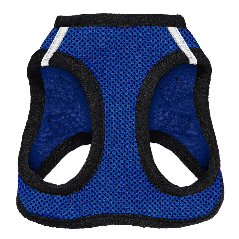 Breathable Mesh Dog Harness-Adjustable Comfortable Padding Eco-Friendly Durable Fashion Design for Small Dogs' Daily Outdoor