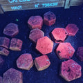 Wholesale Natural Rock Raw Red Ruby Gemstone Uncut Rubies Crystals Corundum Rough Stone