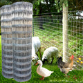 2.5mm Galvanized Tight Lock Mesh Deer Fence 50M Roll Field Fence to Feed Cattle in Agriculture Farm