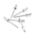 304 Stainless Steel Round Head Pull Rivets GB12617 Open Countersunk Head Blind Rivets