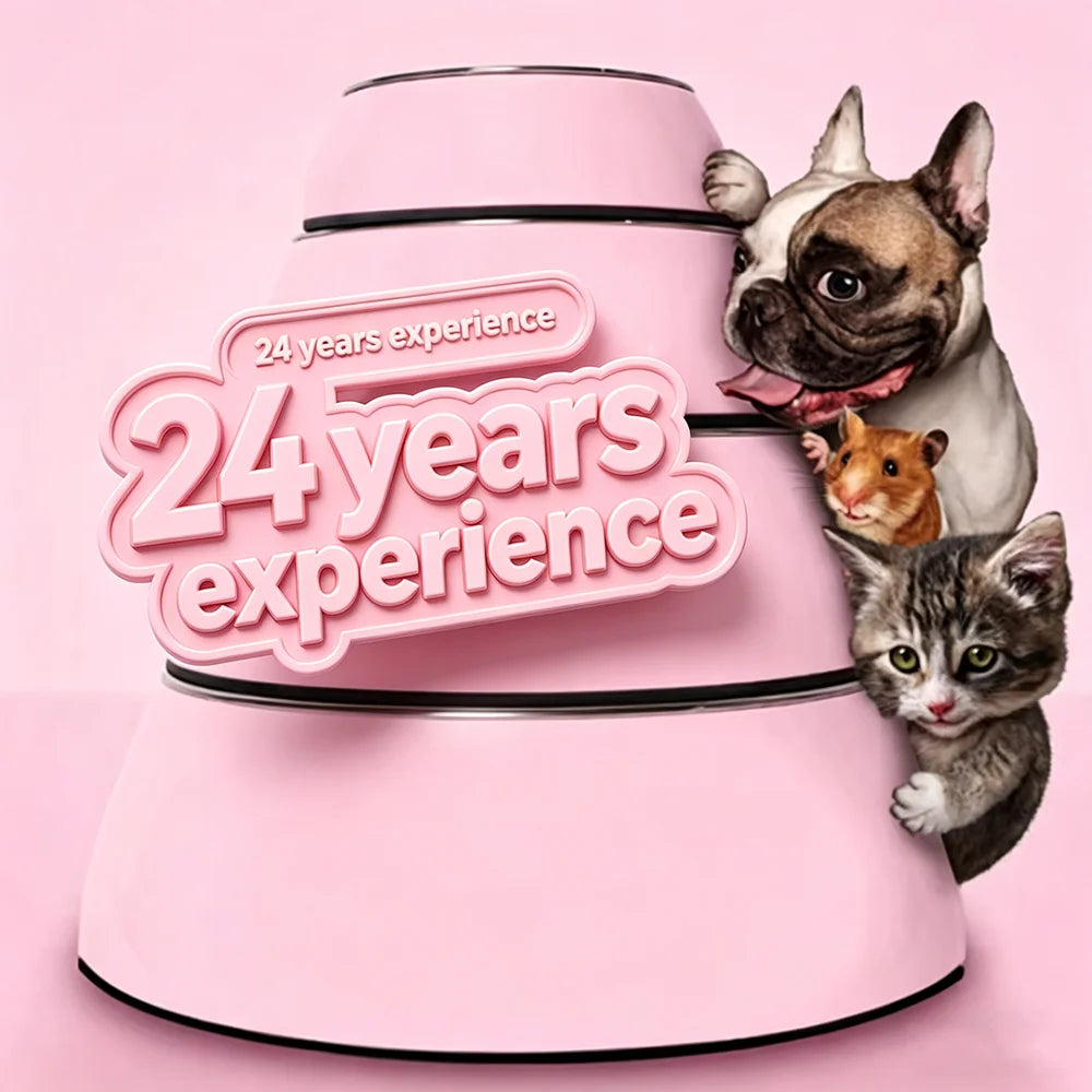 6 Inch Bowl Wholesale Colourful Wholesale Sublimation Dog Bowl Pet 2pcs SmallMOQ Quick Dispatch
