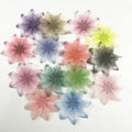 Wholesale Fashion Popular 14 Color Chiffon Flowers for Shoes  Hats Hair Decoration Clothing Accessories Product Number WDXH-9