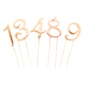 Wholesale Rose Gold Plated Number Metal Cake Topper for Birthday Party SuppliesBirthday Cake Topper Decoration