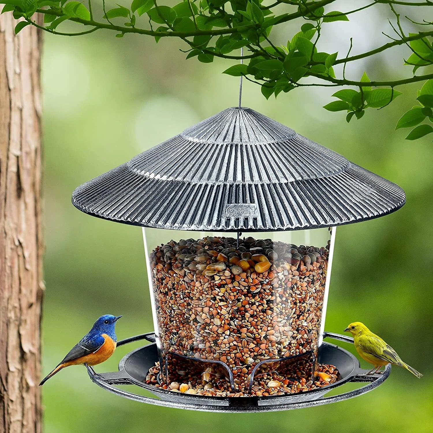 Clear Panoramic Outdoor Garden Hanging Bird Feeder House Suction Wild Bird Feeding Device for Effective Backyard Birding
