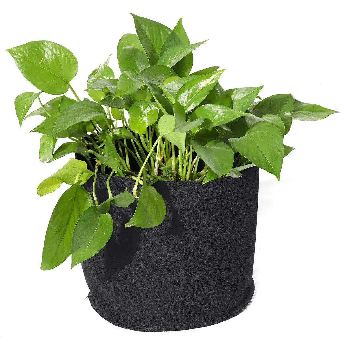 Non-Woven Fabric Pot Grow Bag Potato Planting Felt Gallon Bags Garden Grow Bags Eco-Friendly