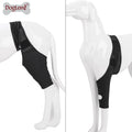 Adjustable Neoprene Dog Leg Brace Wrap with Four Soft Brim Legs for Pet Training & Behavior