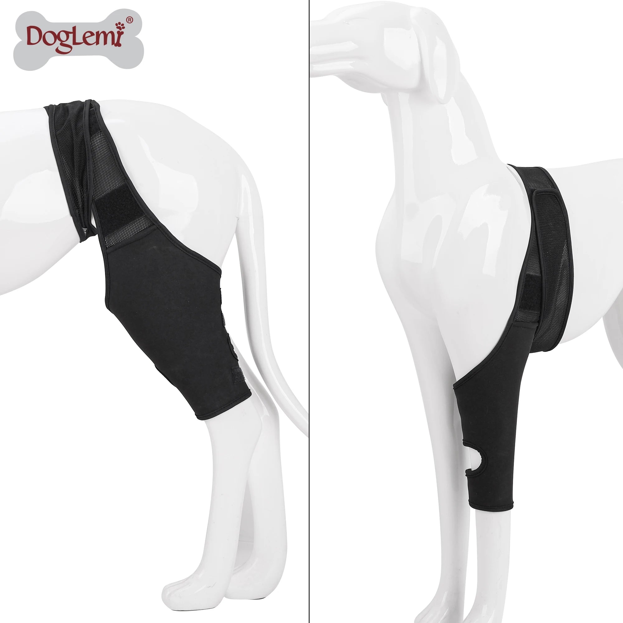 Adjustable Neoprene Dog Leg Brace Wrap with Four Soft Brim Legs for Pet Training & Behavior