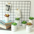 Factory Customized Wholesale Price Mini Artificial Plastic Succulent Plants