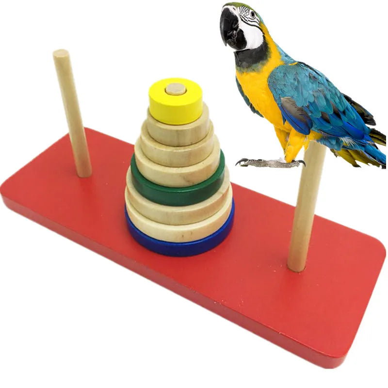 Medium and Large Parrot Bird Educational Toys Interactive Development Toy Pet Supplies Training Bird Tool