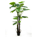 Factory 210CM 7Feet Tall 3 Trunks 22 Leaves Realistic Faux Evergreen Plant in Pot Artificial Taro Plant for Park Garden Decor