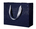 Starry Design Reusable Luxury Paper Gift Bags With Handles for Special Occasions