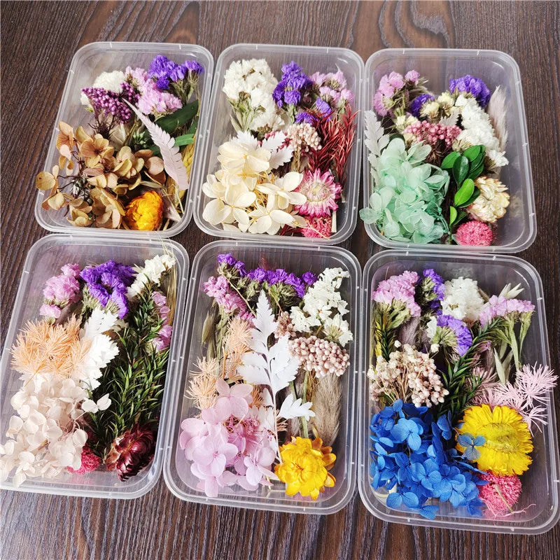 Hot Sale Mix Dried Flower Box DIY Scattered Eternal Life Flower Material Cake Decoration Dried Flower