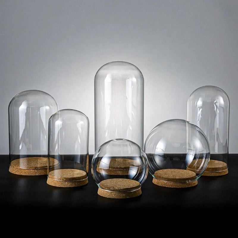Wholesale Cheep Lead Free clear Glass Dome with Wood Stand