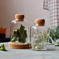 DIY Tabletop High Borosilicate Glass Terrarium Jar Wooden Cork Lid European Style for Home Garden Artificial Moss Ecological