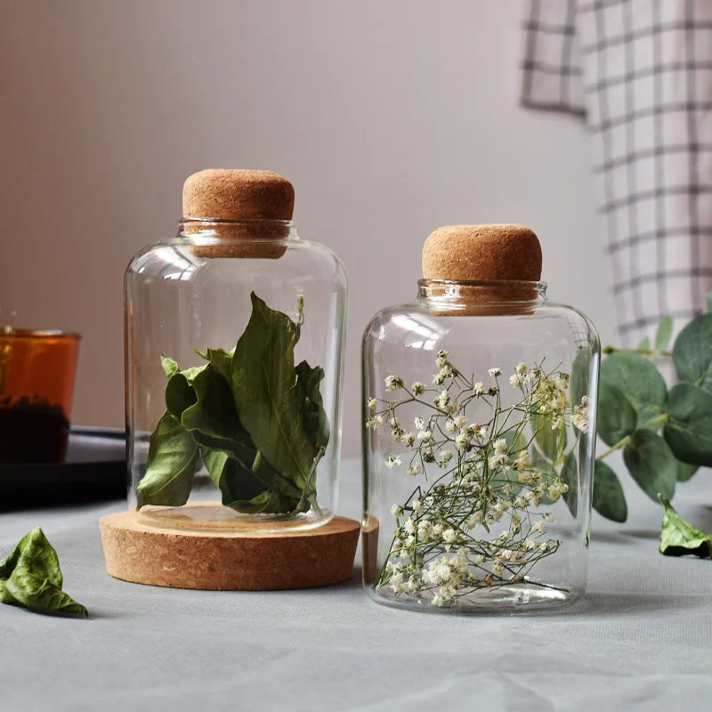 DIY Tabletop High Borosilicate Glass Terrarium Jar Wooden Cork Lid European Style for Home Garden Artificial Moss Ecological