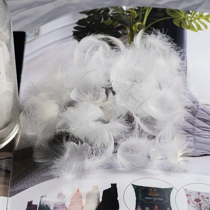 Factory Wholesale Custom 2-4cm Washed White Goose Feather for Sale