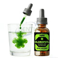 Private Label Vegan Liquid Chlorophyll Drops for Immune Booster System