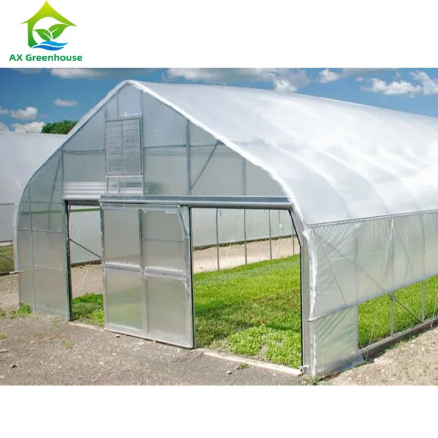 300 Sqm Automatic Agricultural Single-span Pe Film Tomato Custom Tunnel Greenhouse Kit