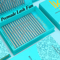 Abonnie 10D 20D Handmade Pre-made Fans Eyelash Extensions Pointy Base Premade Volume Fan Heat Bonded Wider Pre Made Lashes Fan