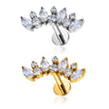 G23 ASTM F136 Titanium Piercing Marquise CZ Gold Nose Stud Women Earring Labret 16G Ear Stud Tragus Helix Cartilage Body Jewelry