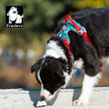 Truelove Wholesale Breathable Mesh Nylon Pet Harness Adjustable Luxury 3M Reflective Lightweight Harness for Dog Outdoor Walking