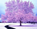 Chenistory Diamond Painting Winter Cross Stitch Kit 5D DIY Mosaic Embroidery Landscape Tree Full Square Rhinestone Crafts Gift