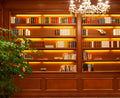 Live Broadcast Room Background Wall Cloth Indoor Study Bookshelf Antique 3D Arrangement Photo Short Video Wallpaper
